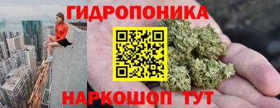 мяу мяу мука Баксан