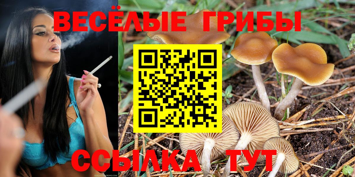 Борзя  Псилоцибиновые грибы GOLDEN TEACHER  Вход с VPN 