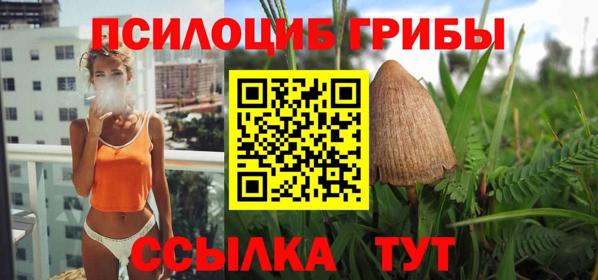 Галлюциногенные грибы мицелий Борзя